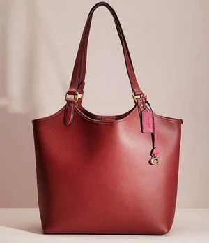 Coach Polished Pebble Leather Restored Day Tote in Brass/Brick Red, New +DustBag thumbnail 13
