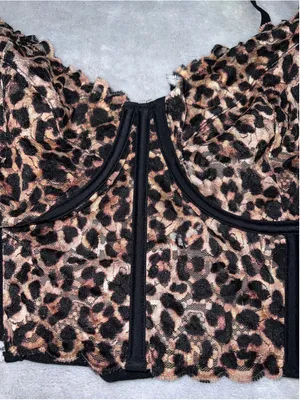 Anthropologie Leopard Print Lace Corset Bra 3X thumbnail 4