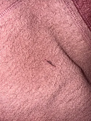 Burton Men's Full-Zip Hoodie in Burgundy thumbnail 9