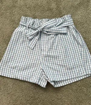 PacSun Blue Gingham Shorts thumbnail 3
