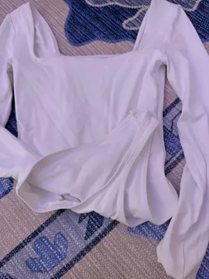 Aritzia Babaton Bodysuit Contour Long Sleeve thumbnail 1