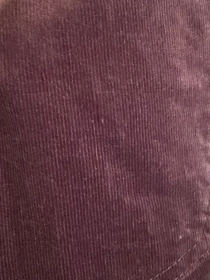 🦄🦄🦄BOGOHO 🦄🦄🦄Democracy Corduroy Slim Pants in Plum-14 thumbnail 9