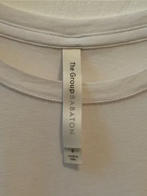 Aritzia The Group Babaton Tee in White thumbnail 4