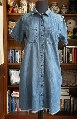 Madewell Chambray Frayed Hem Button Down Shirt Dress thumbnail 1