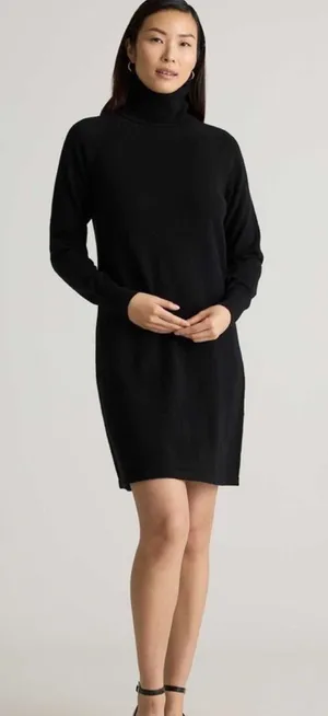 Quince Mongolian Cashmere Black Turtle Neck Sweater Dress Knit Quiet Luxury Cozy thumbnail 1