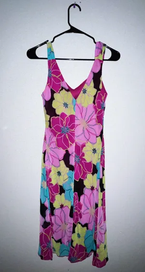 Bisou Bisou Dress thumbnail 2