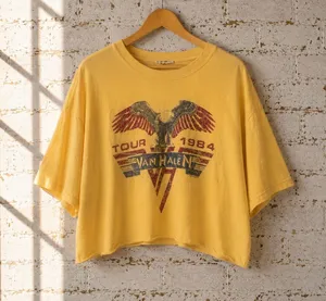 Y2K Indie Sleaze Rocker Grunge Van Halen Graphic Crop Tee L thumbnail 1