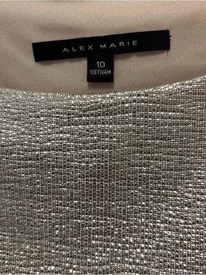 Alex Marie Shimmery Silver Asymmetrical Ruched Cocktail Dress thumbnail 4