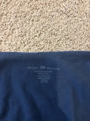 Brandy Melville Long Sleeve Top Crop thumbnail 3