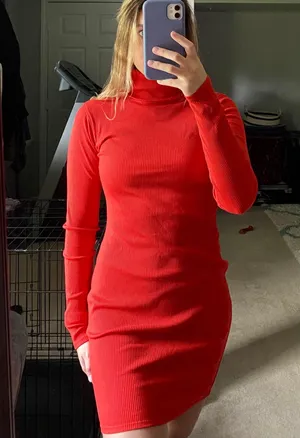 Wild Fable Turtleneck Dress thumbnail 1