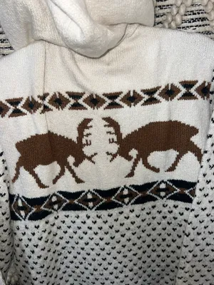 American Eagle Sweater Hoodie thumbnail 6