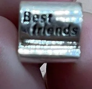 925 Best Friends Charm Bracelet Fit Pandora New Silver thumbnail 2