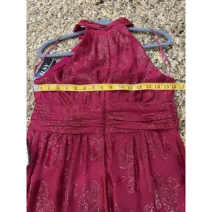 SLNY Fashion Women's Burnout Chiffon Sleeveless Gown Size 6 Fushia thumbnail 6