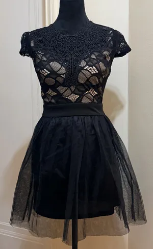 Privy Lace Illusion Tulle Fit & Flare Cocktail Mini Dress - Size S - NWT thumbnail 3
