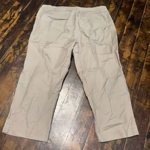 Ann Taylor tan curvy12 business casual normcore pants thumbnail 2