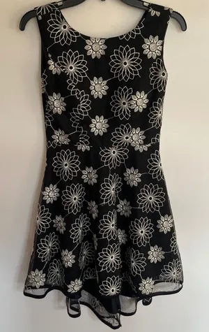 Zara Black Floral Embroidered Mesh Fit and Flare Sleeveless Dress Womens XS‎ thumbnail 1