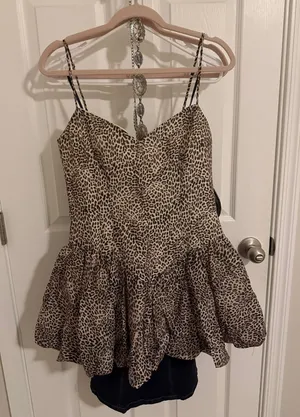 Leopard Mini Dress thumbnail 1