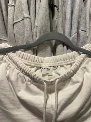 Aritzia Shorts thumbnail 4