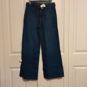 American Eagle Dreamy Drape Ultra Wide Leg Low Rise Jeans Size 2 NWT thumbnail 2