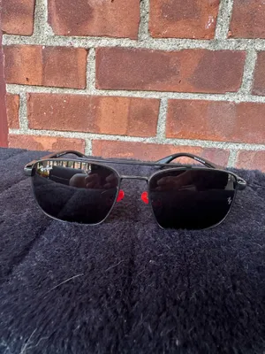 Ray-Ban Sunglasses thumbnail 2