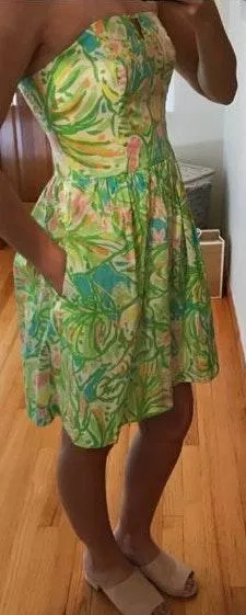 Lilly Pulitzer Dress thumbnail 1