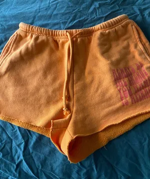 PacSun Shorts thumbnail 1