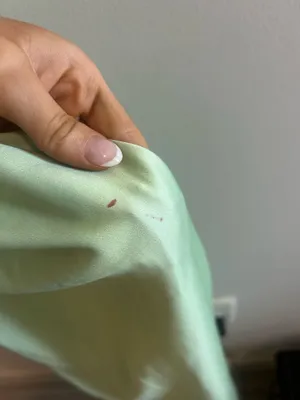 Revolve Formal Gown Green Ombré  thumbnail 3