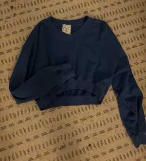 Aerie Sweatshirt thumbnail 1