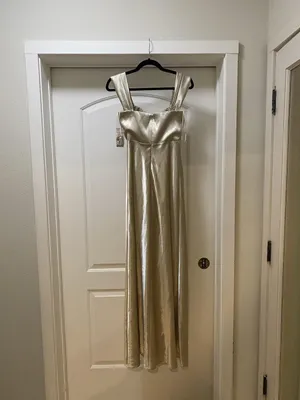 Birdy Grey Mia Dress Womens XS Champagne Satin Cowl Maxi Slip Formal Wedding thumbnail 5