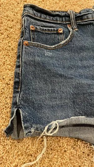 Abercrombie Shorts thumbnail 3