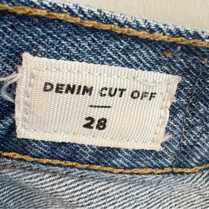 Pacsun‎ Denim Cut Off Shorts Size 28 thumbnail 5