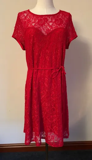 A Pea in the Pod Red Lace Midi Dress thumbnail 1