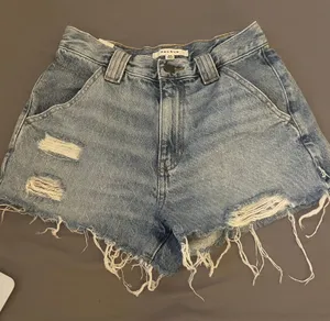 PacSun Shorts thumbnail 1