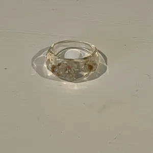 4 Resin Dings of Lemons, Watermelons and Dried Flowers thumbnail 9
