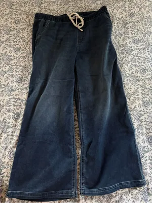 New with tags American Eagle Women’s Dreamy Drape Cozy Baggy Jogger wide leg L thumbnail 1