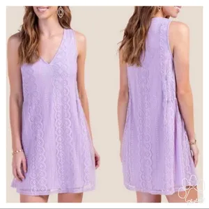 NWT Francesca’s (Blue Rain) Lavender Lace Shift Dress M thumbnail 2