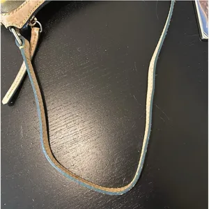 Dooney & Bourke Rainbow Zipper Bag, Heart Charm. Coated Canvas & Leather thumbnail 10
