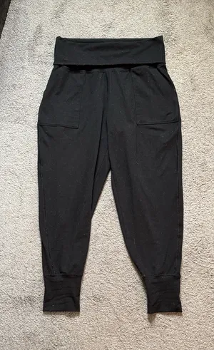 Aerie Offline Joggers  thumbnail 2
