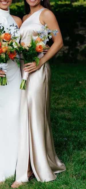Birdy Grey Kira Dress In Neutral Champagne thumbnail 1