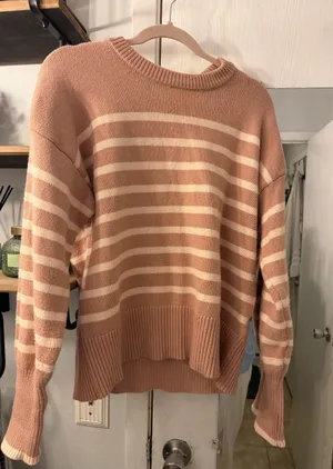 Philosophy Striped Crewneck Sweater in Blush and Cream thumbnail 1