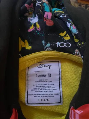 Loungefly Disney 100th Anniversary Mickey & Friends Colorblock Hoodie thumbnail 7