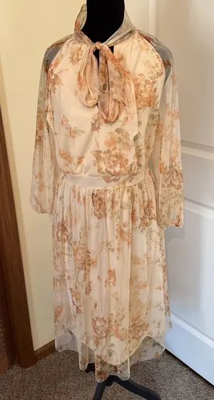 Candalite Sheer Floral Print Midi Dress‎ Size Medium Fairycore Romantic NWT thumbnail 1