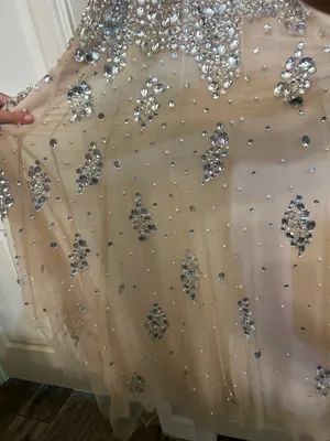 Jovani Gown thumbnail 8