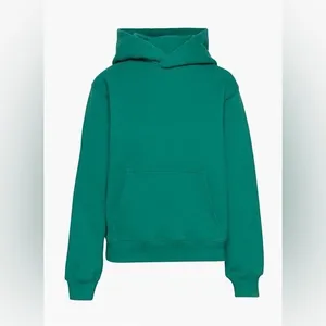 Aritiza TNA Cozy Fleece Perfect hoodie Sweatshirt Biome Green thumbnail 2