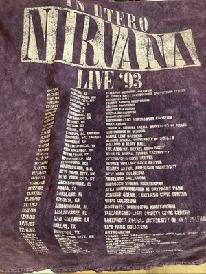 Nirvana Size Medium Purple Washed Logo Tee, Preloved thumbnail 5