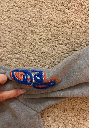 Florida cropped sweatshirt Gray Size M thumbnail 4