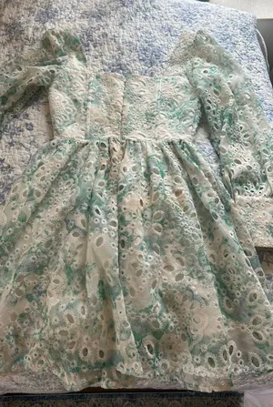 JardinVue Blue Eyelet Floral Long Sleeve Dress thumbnail 2