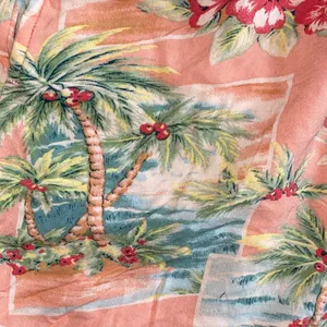 American Eagle Outfitters Tropical Peach Shorts thumbnail 3
