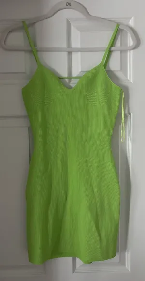 Endless Rose Dress thumbnail 1