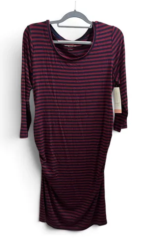 Liz Lange Maternity Dress Berry/Navy Stripe thumbnail 1